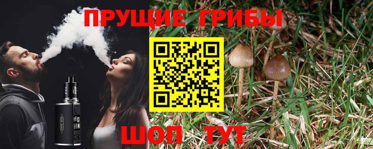 Назрань  Псилоцибиновые грибы Psilocybe  Вход с VPN  Галлюциногенные грибы прущие грибы 