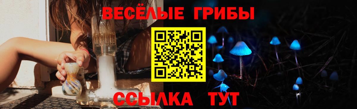 Галлюциногенные грибы Psilocybe Назрань